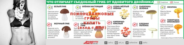 PSILOCYBIN Алексин