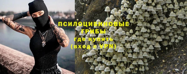 PSILOCYBIN Алексин