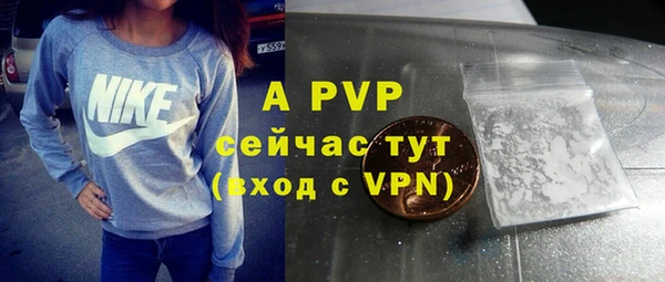 PSILOCYBIN Абдулино