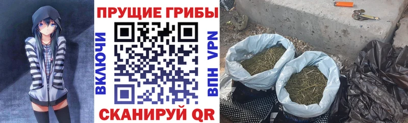 купить наркотики цена  гидра tor  Псилоцибиновые грибы прущие грибы  Микунь 